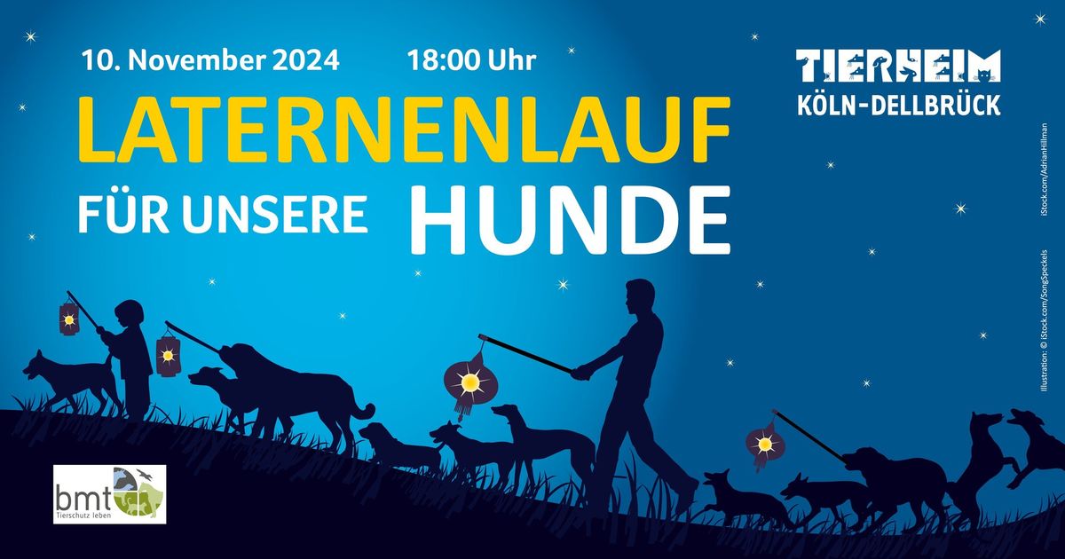 Laternenlauf mit Hunden