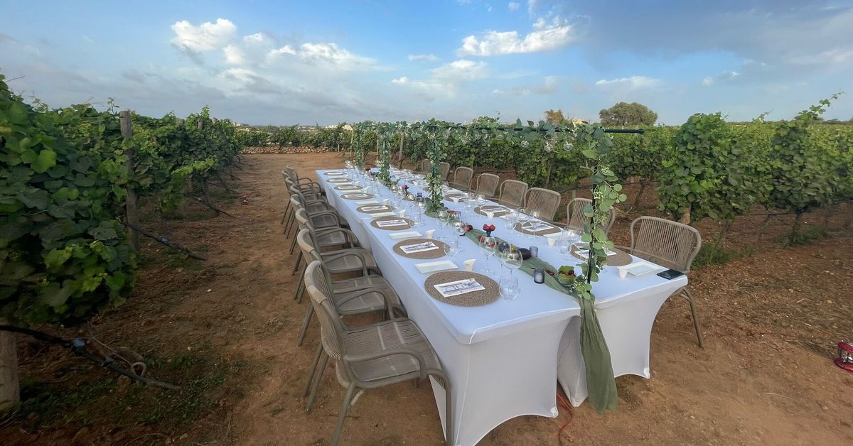 DINNER IN THE VINES -  FULLY BOOKED 