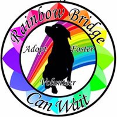 Rainbow Bridge Can Wait Animal Rescue and Adoption