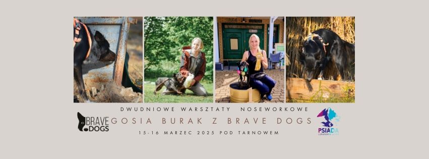 15-16.03.2025 Warsztaty noseworkowe z Gosi\u0105 Burak z BRAVE DOGS