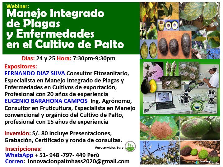 Webinar Manejo Integrado De Plagas Y Enfermedades En El Cultivo De Palto Online 25 March To 3410