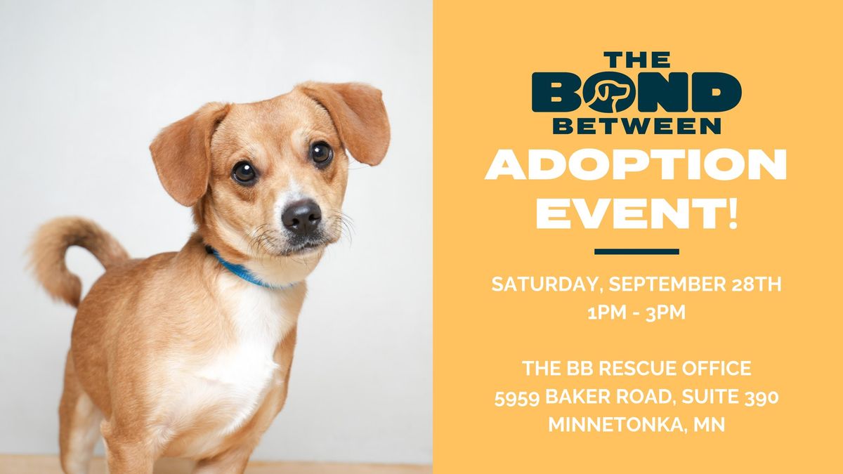 The BB Pet Adoption Event!