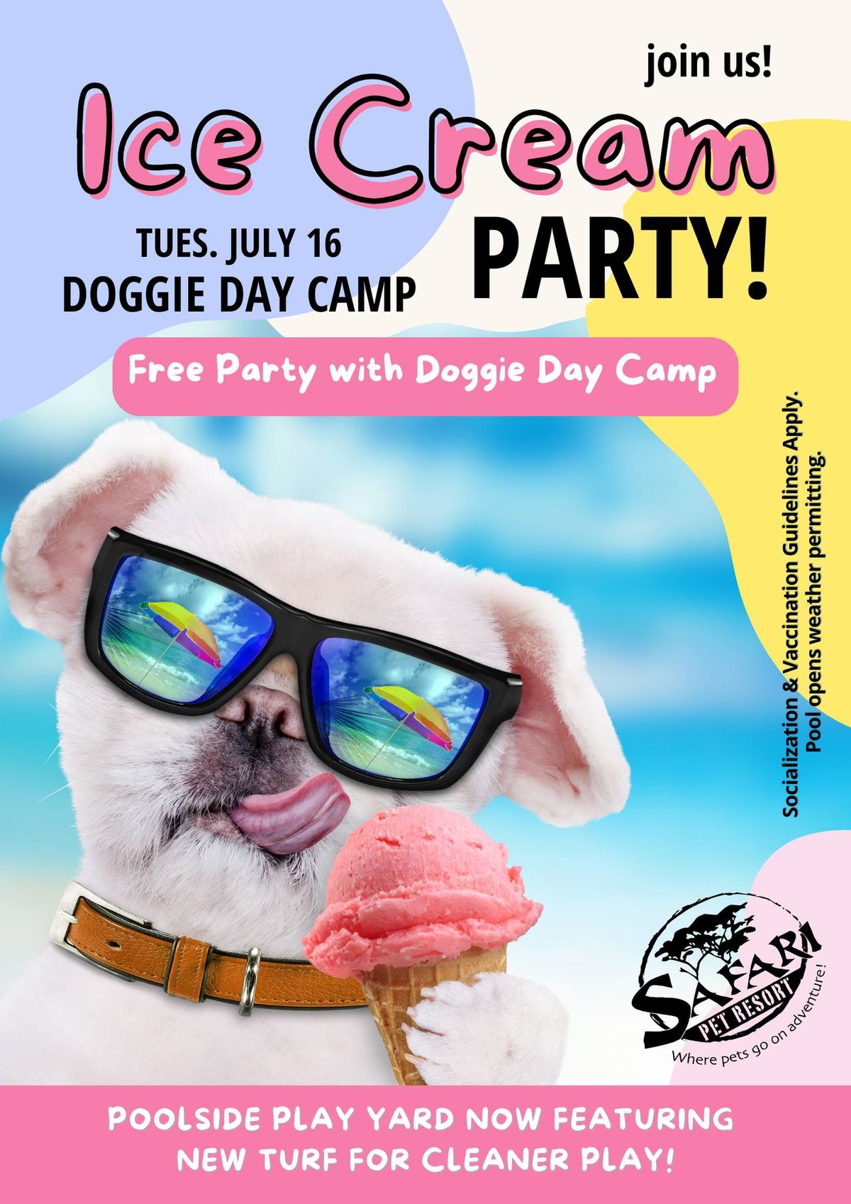 Ice Cream Party, Doggie Day Camp
