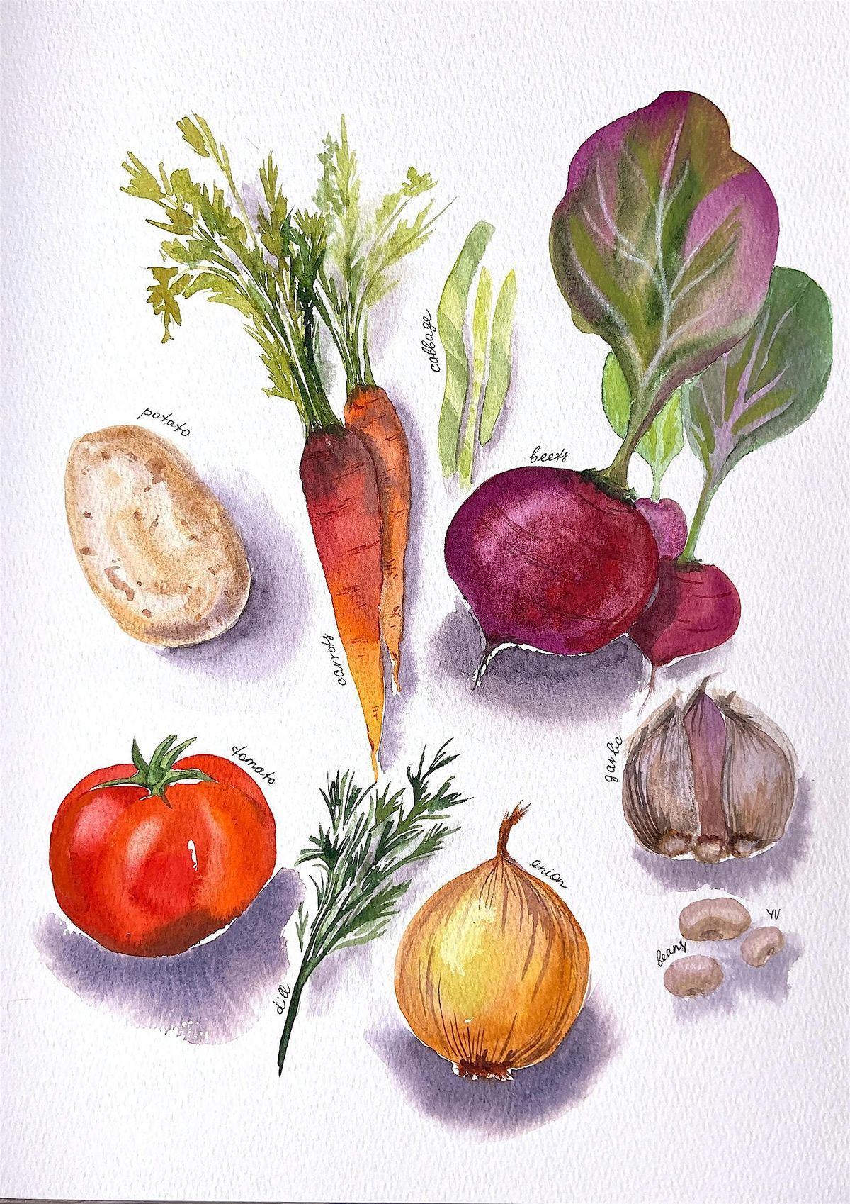 Borscht Recipe Watercolour Workshop