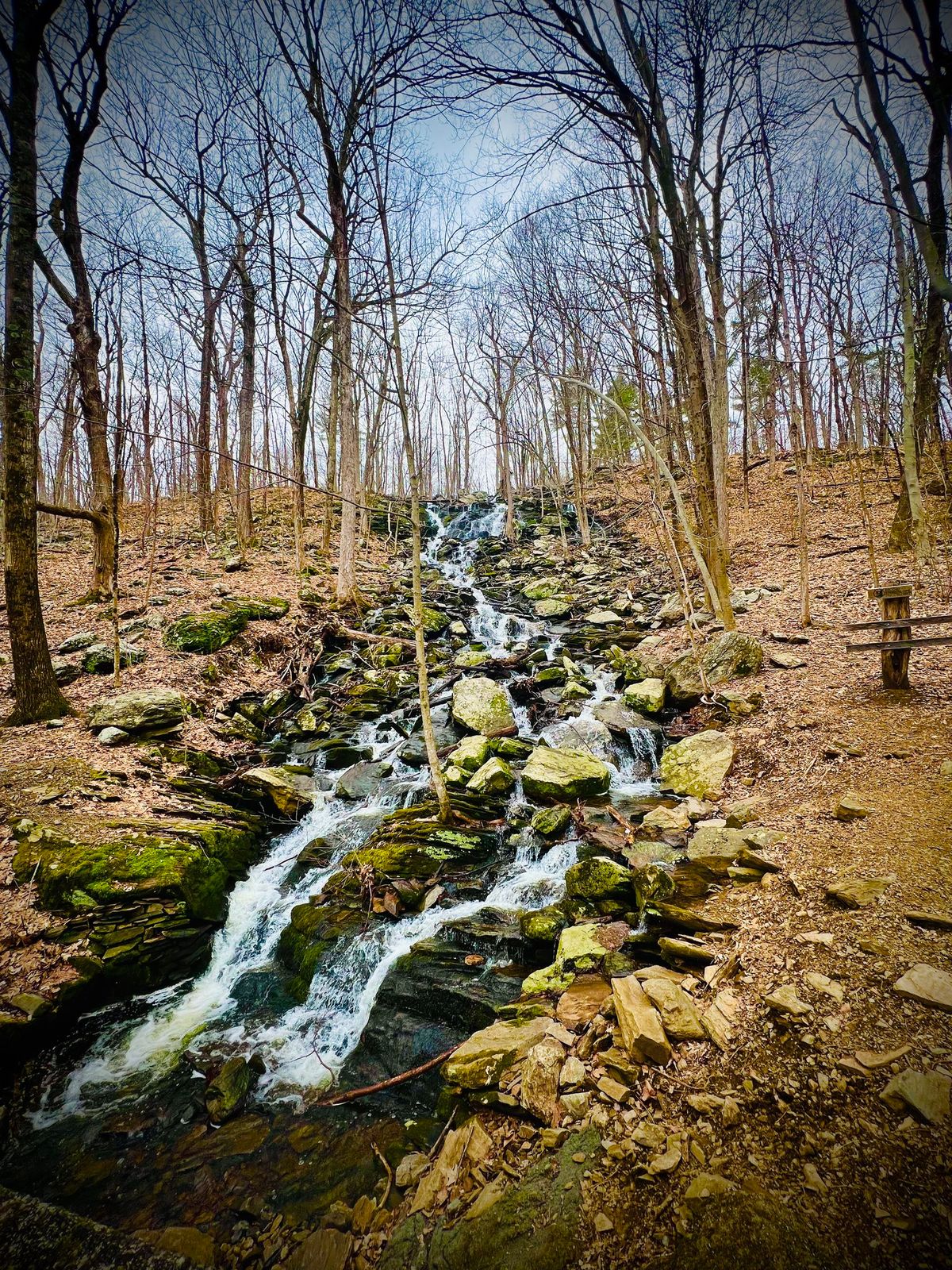 Cascading Waters Yoga Hike