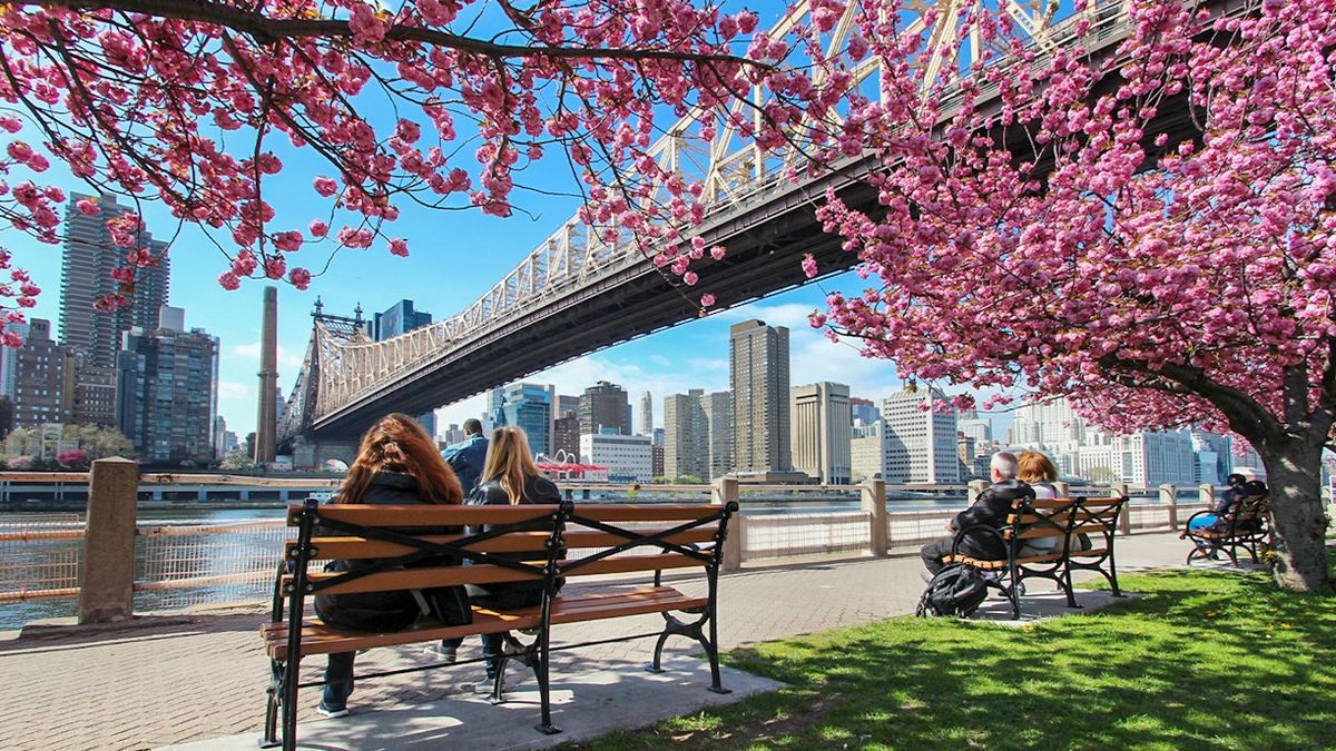 Parking Aladdin - New York