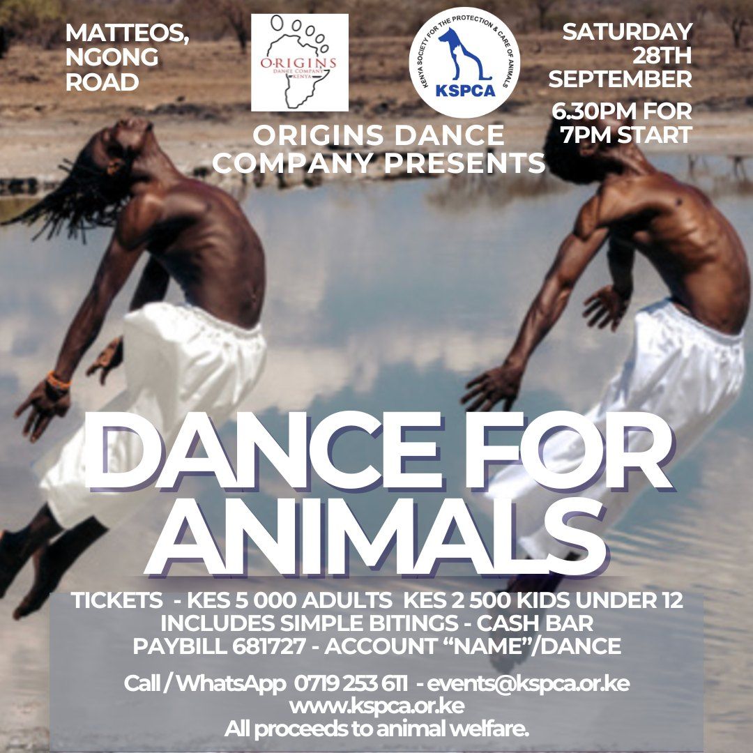 Dance for Animals