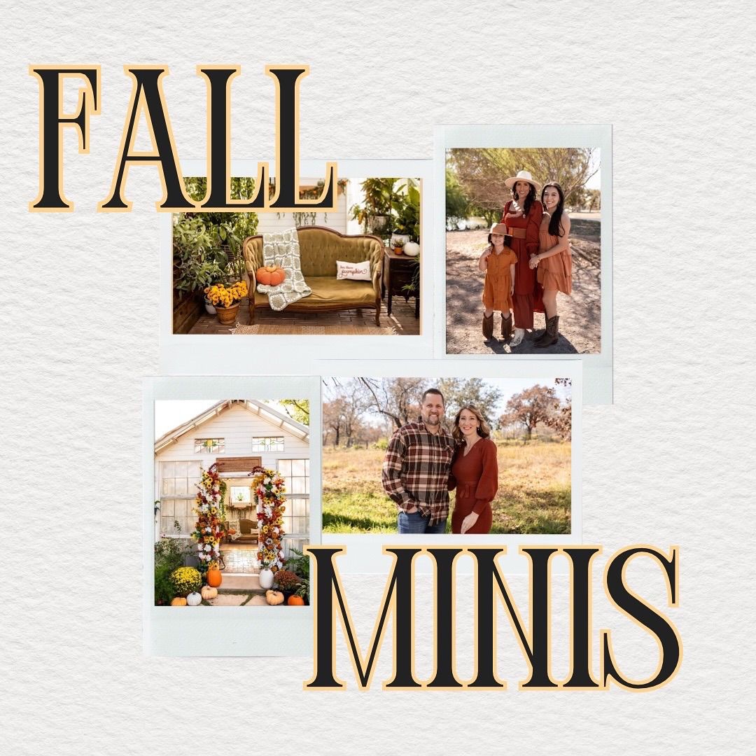 Fall Mini Sessions