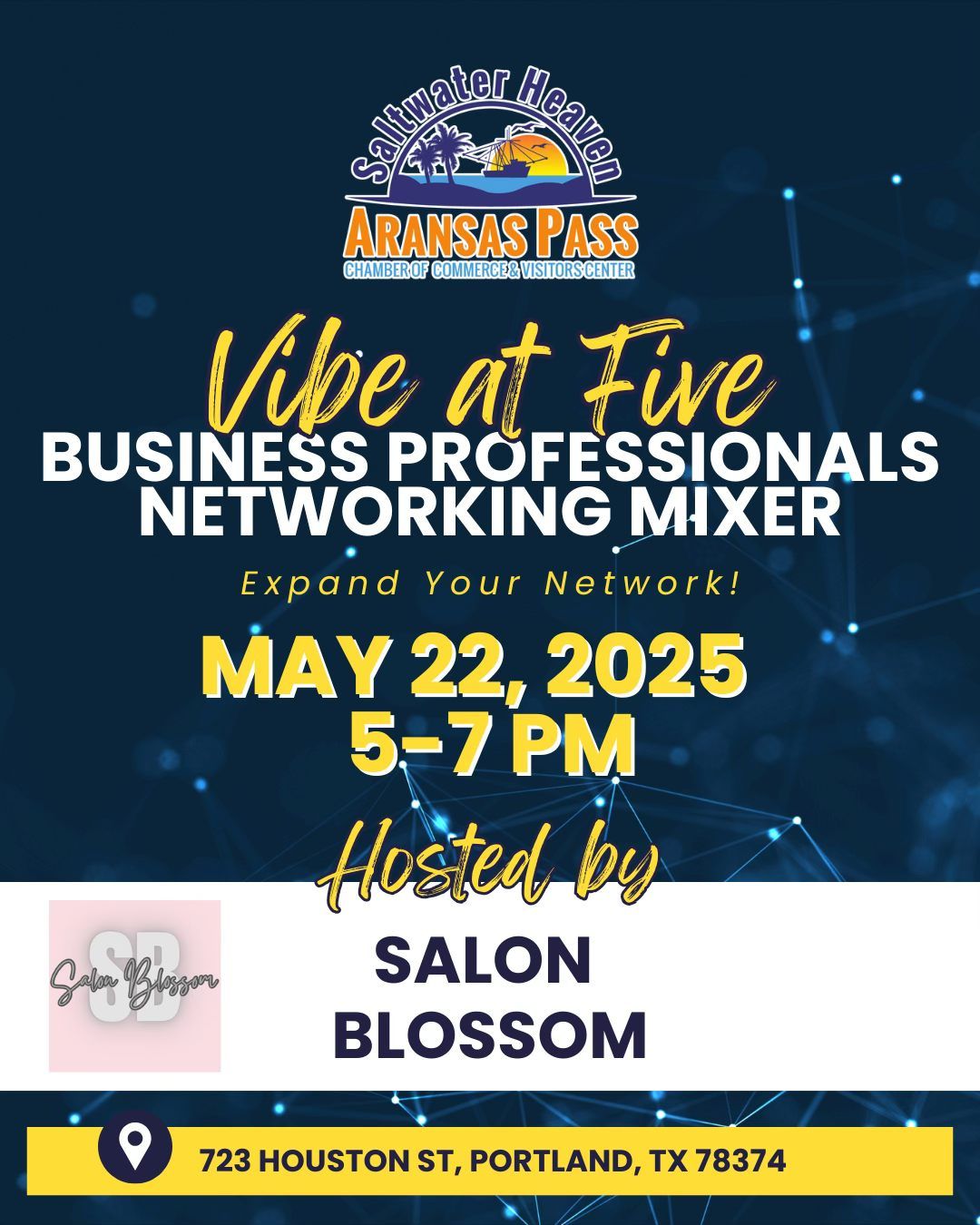 Vibe at Five ( Business Professionals Networking Mixer)