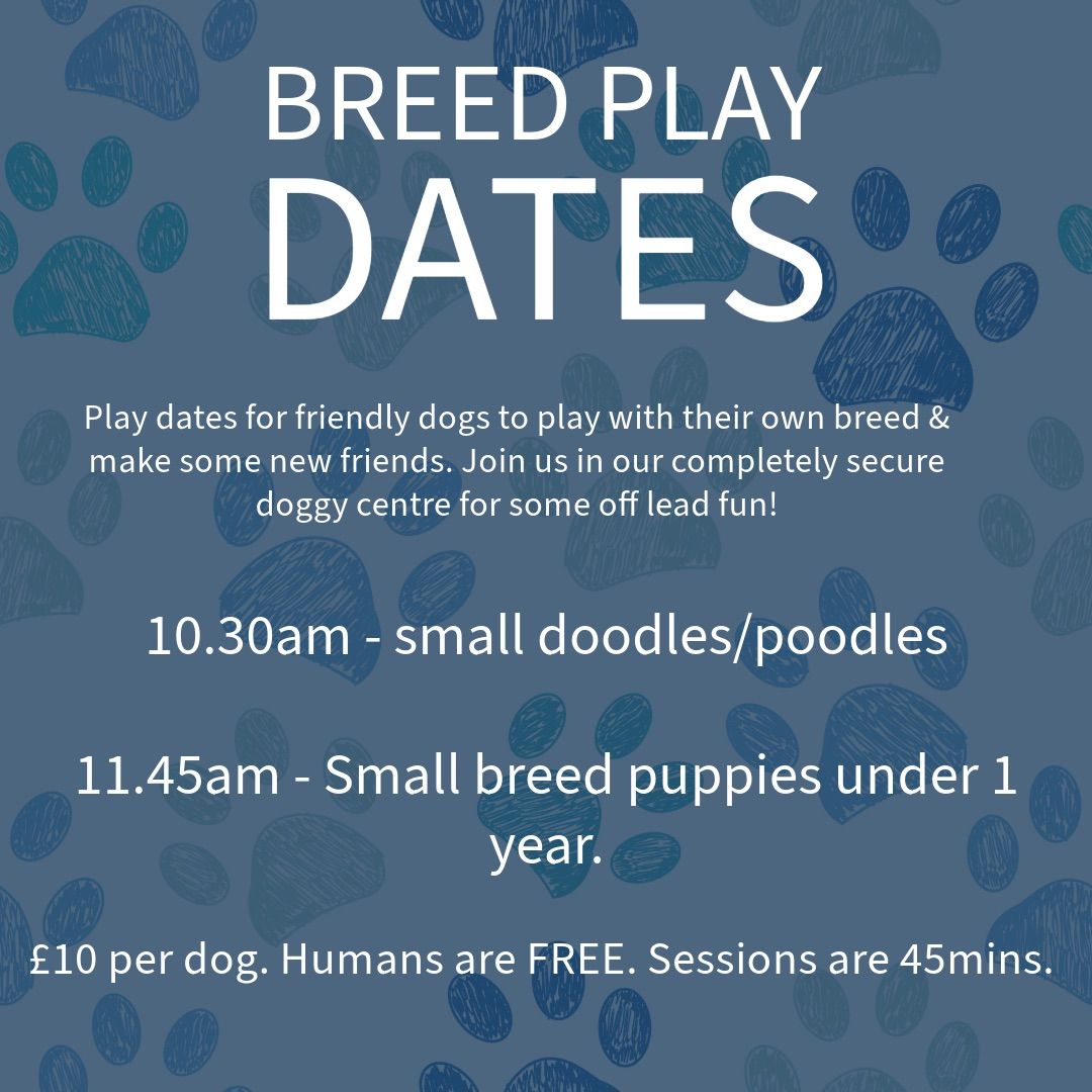 Breed play sessions 