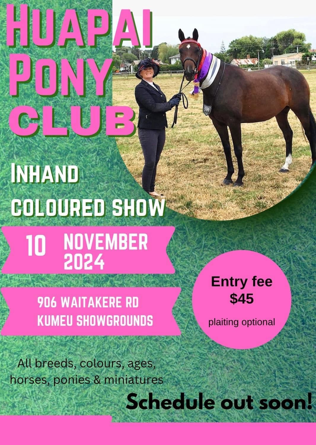 Huapai Pony Club Inhand Day