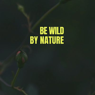 Be WILD By Nature