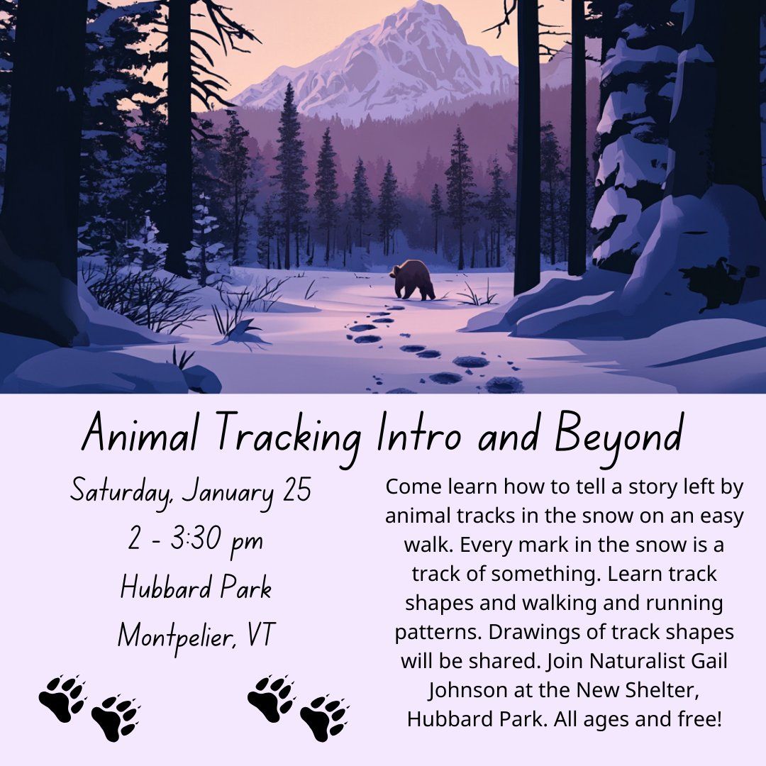 Animal Tracking Walk in Hubbard Park