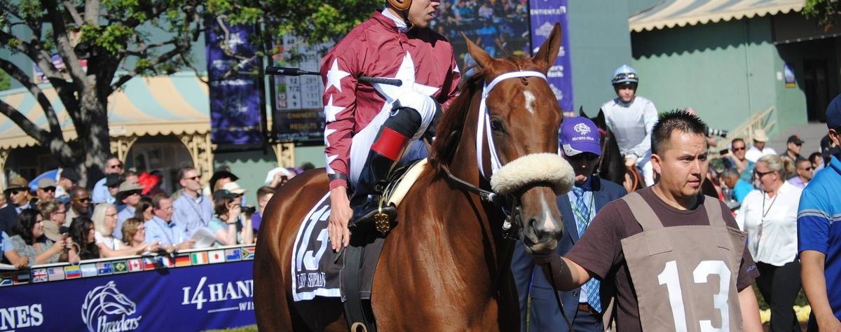 PARKING: 2025 Breeders' Cup World Championships Saturday
