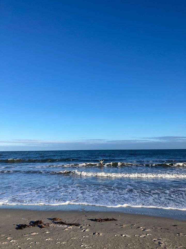 Friday morning dip with Susie