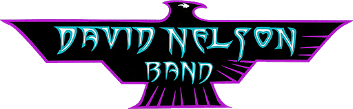 David Nelson Band (late show)