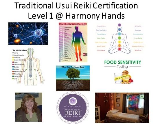 Only 1 Spot Left - Traditional Usui Reiki Level 1 Practitioner Certification - 2 Full Days