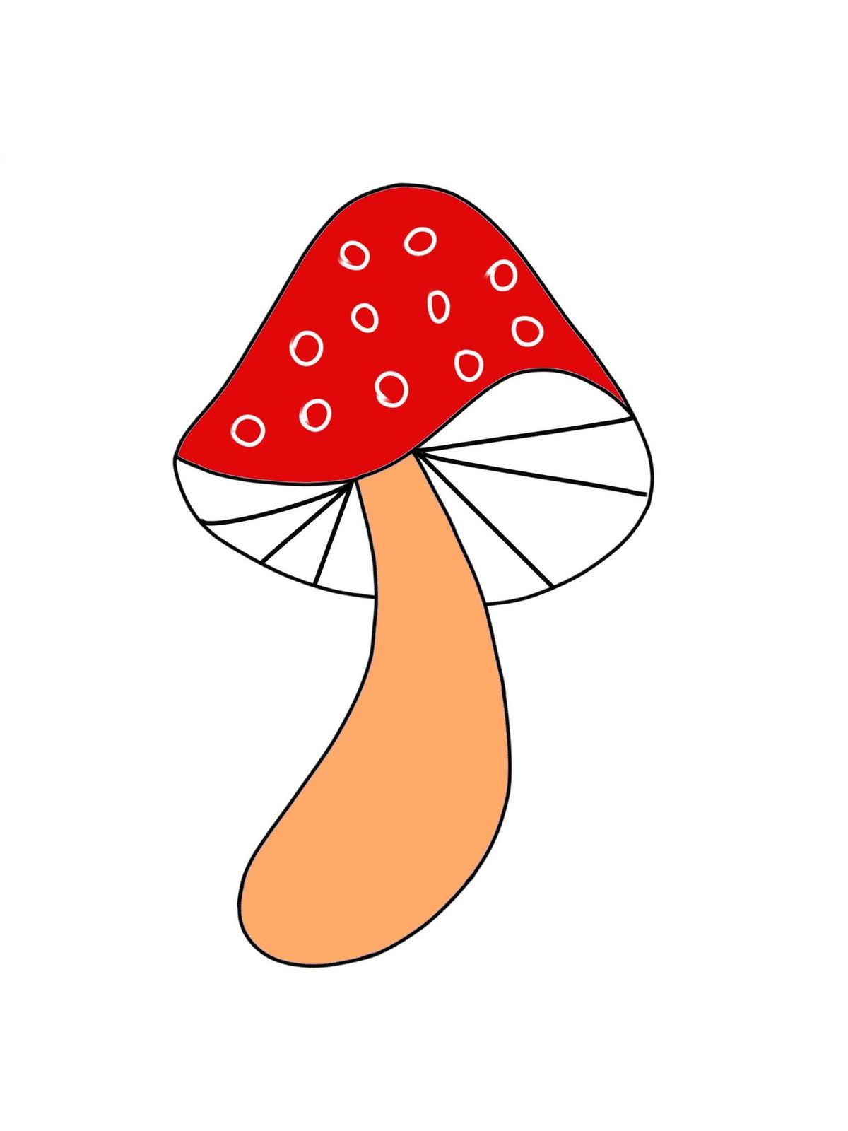 Stained Glass Class: Mushroom Designs