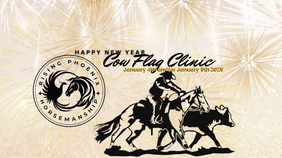 Rising Phoenix Horsemanship Cow Flag Clinic