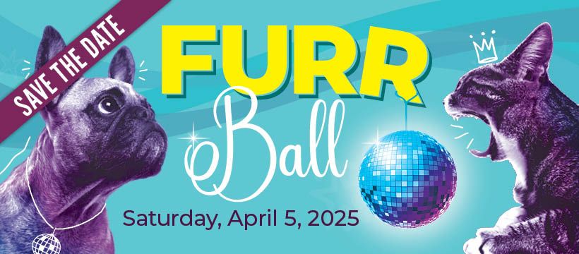 4th Annual FurrBall Cough it up to the Animals Fundraiser