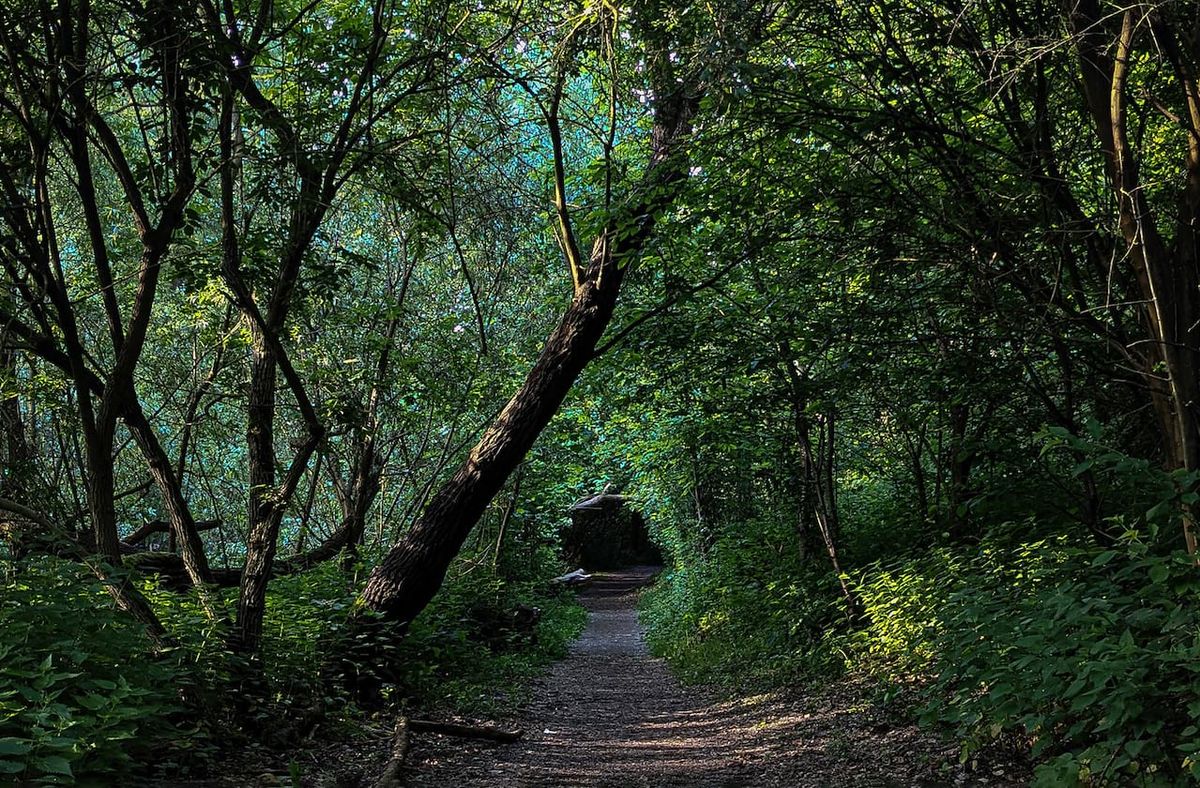 San Francisco Ballet - La Sylphide