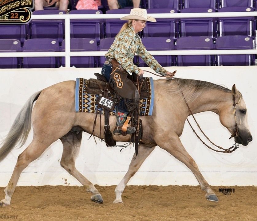 Ranch Horse Show Series