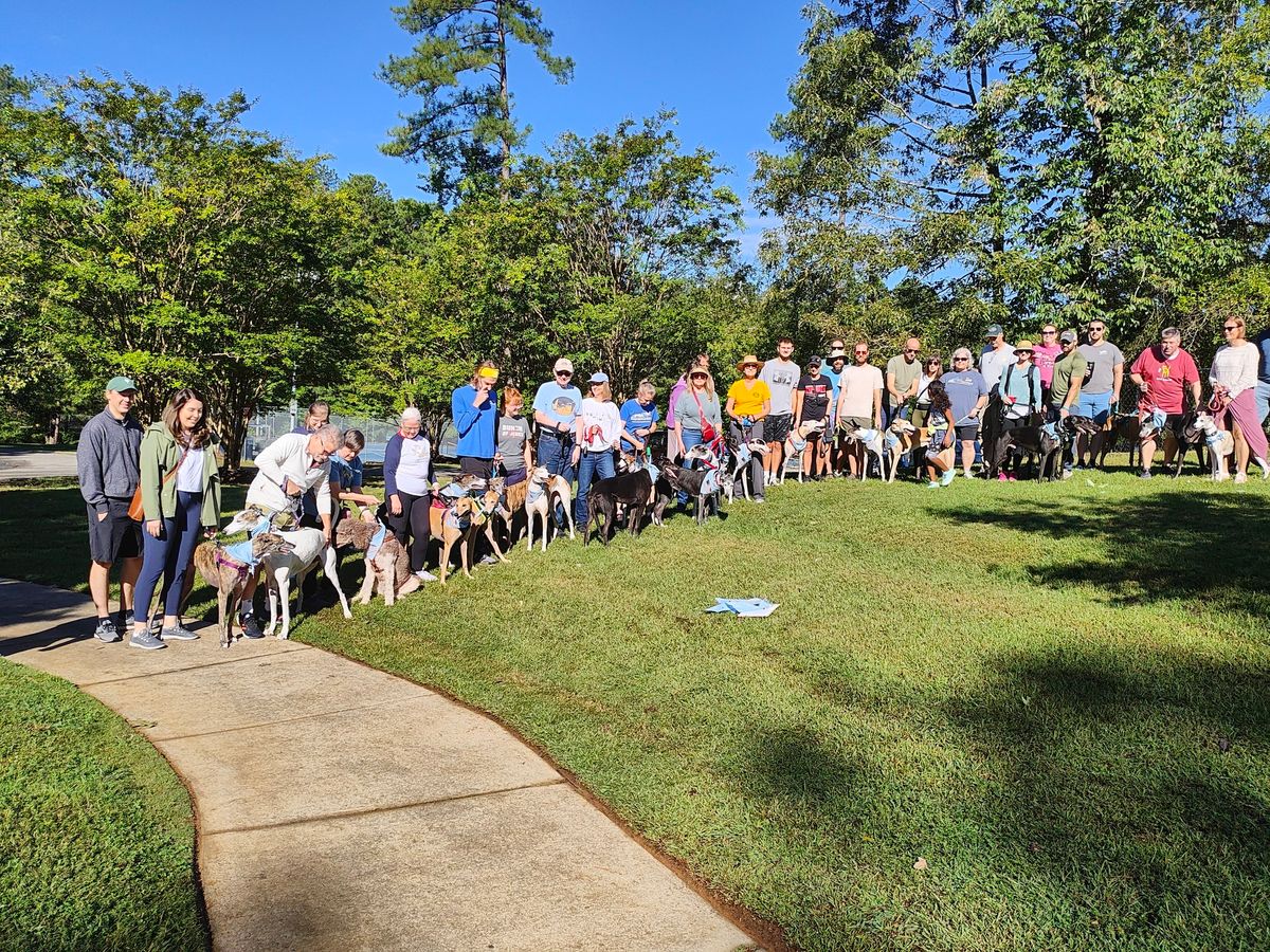 Great Global Greyhound Walk Raleigh