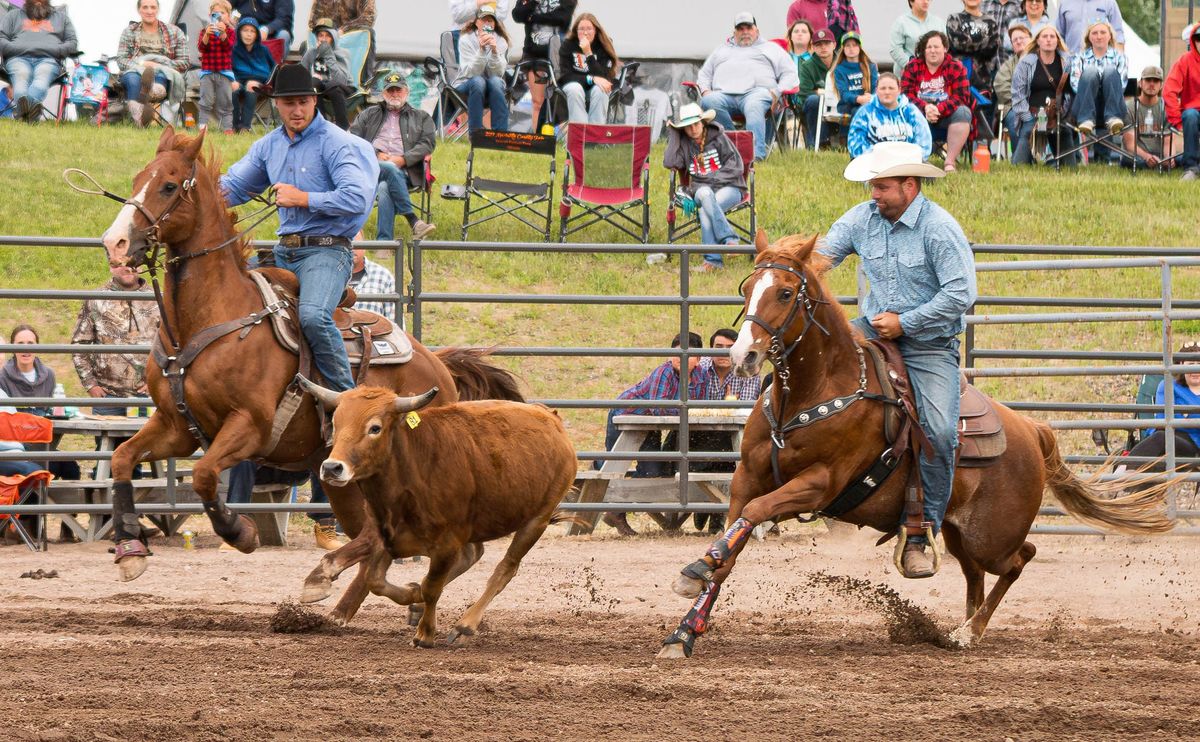 Pro Rodeo Walworth County Fair presented by Jake Leiser Painting