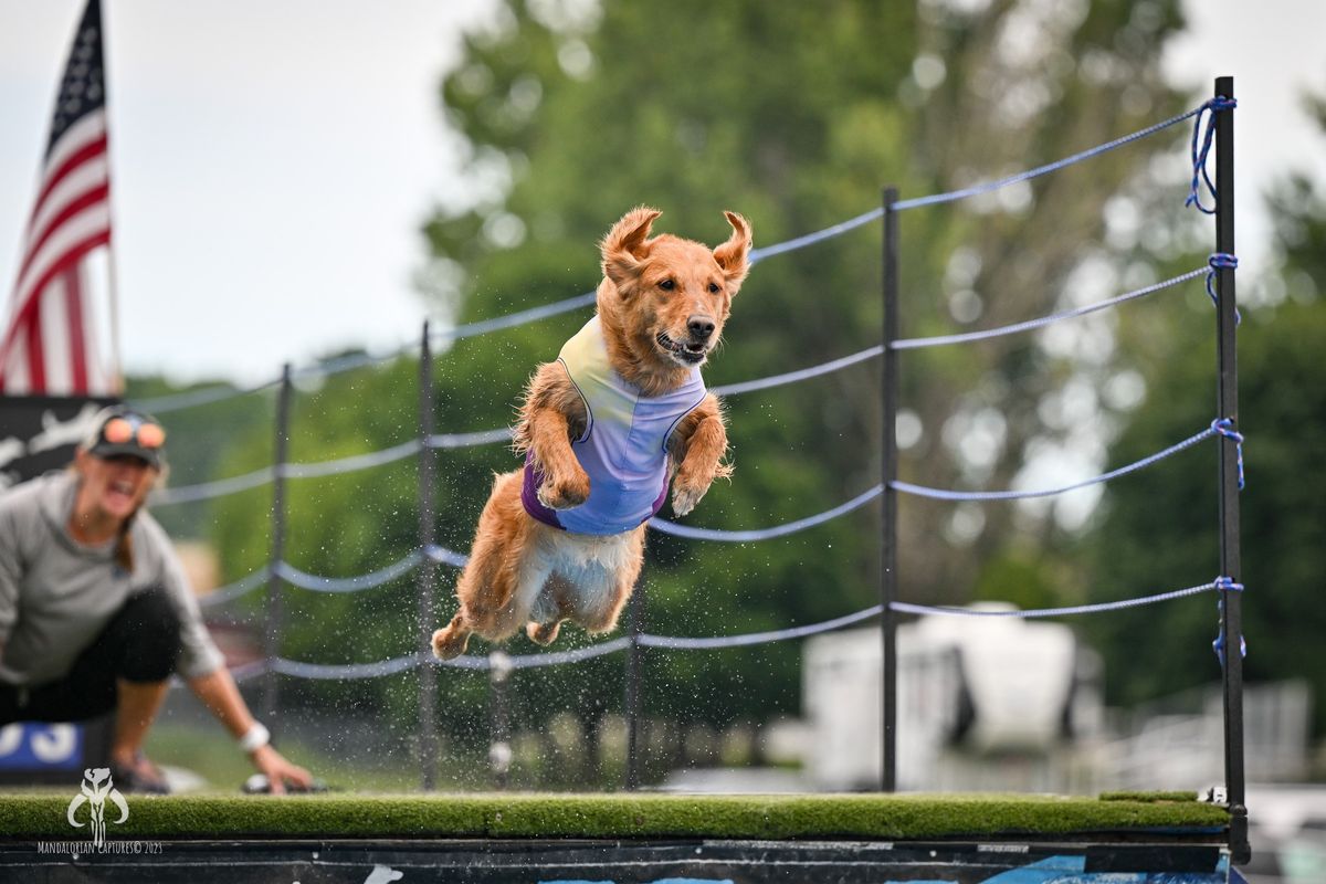 DockDogs\u00ae at the Louisiana Outdoor Expo |   Wild Card!