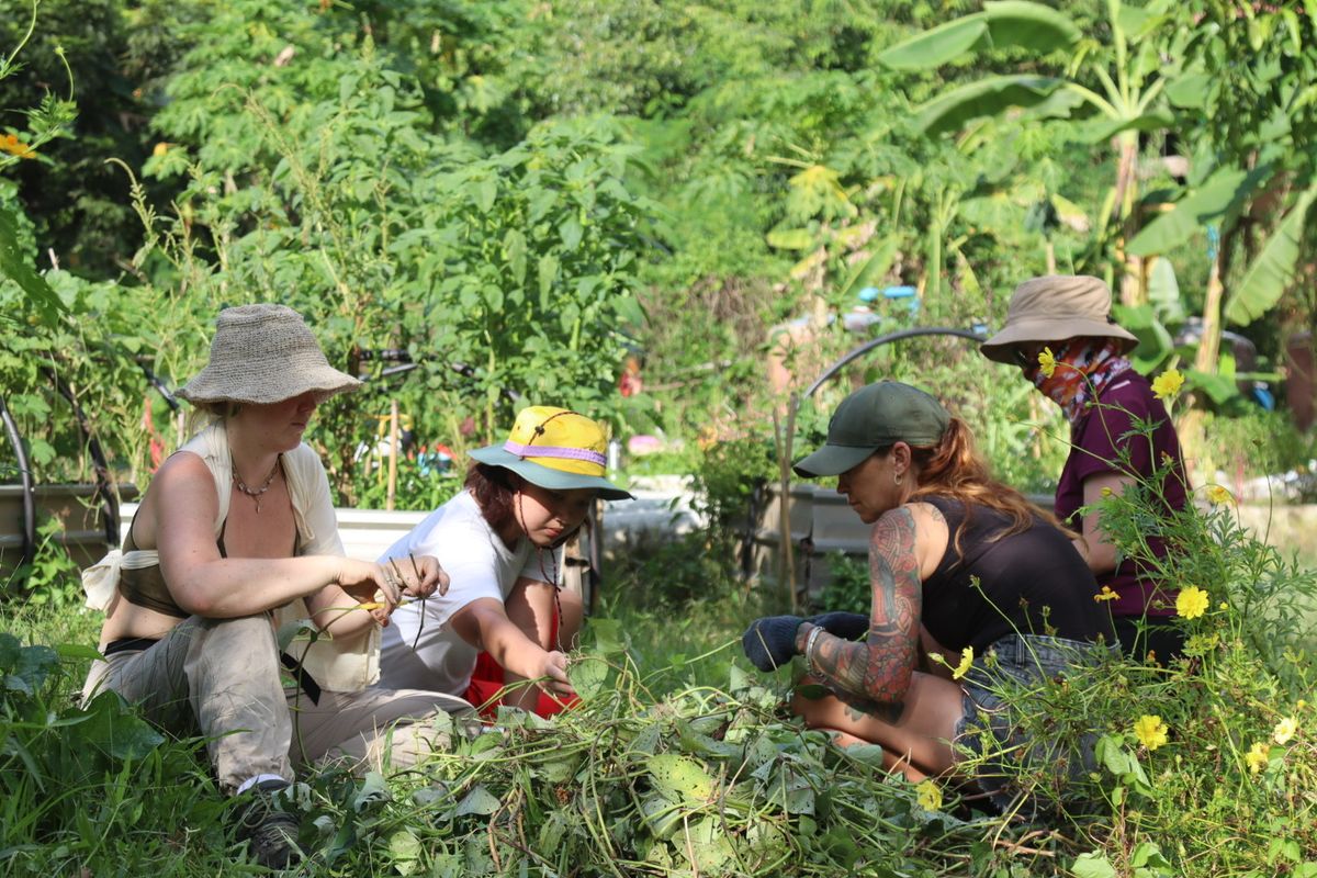 Practical Permaculture Course