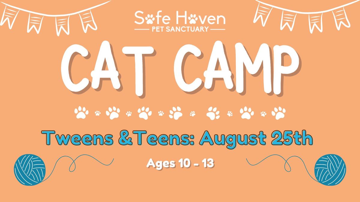 Cat Camp: Tweens & Teens 