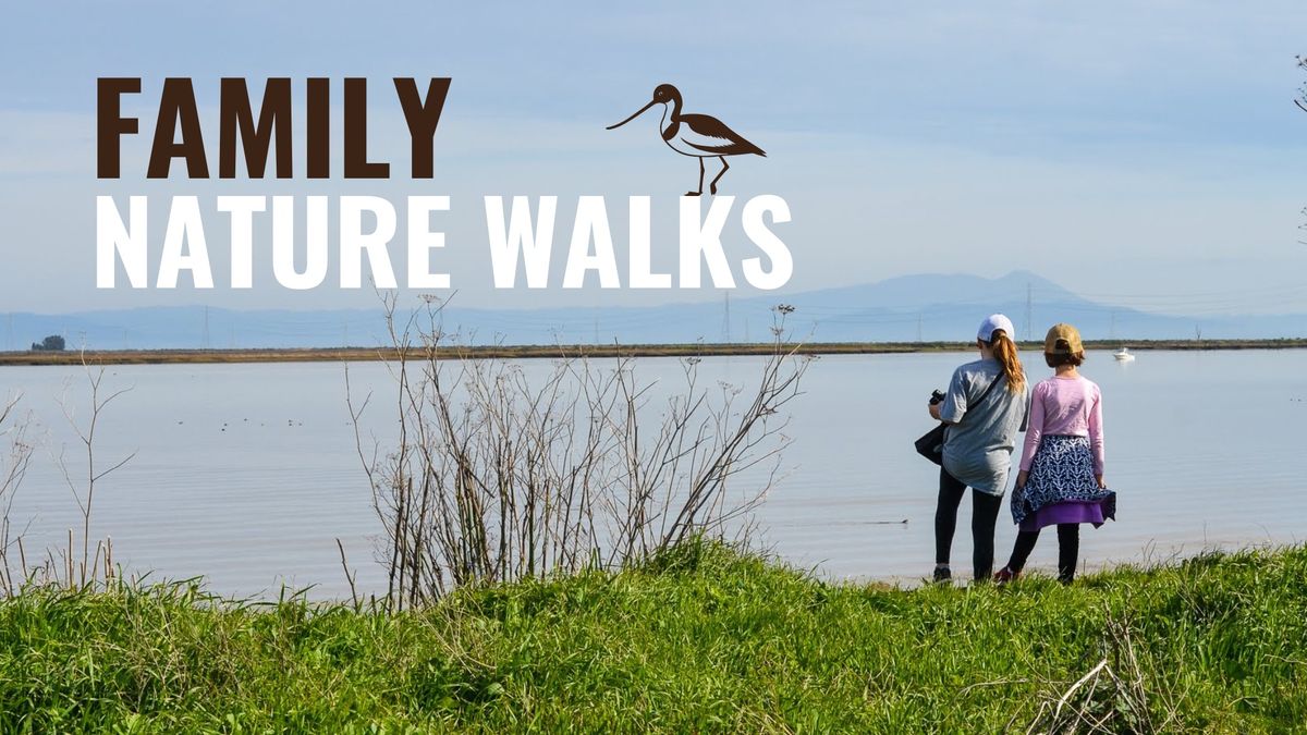 Family Nature Walk - Wetlands Birding