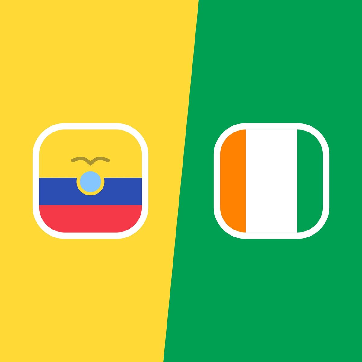 Ecuador vs Ivory Coast - World Cup - Match 9 (Group E)
