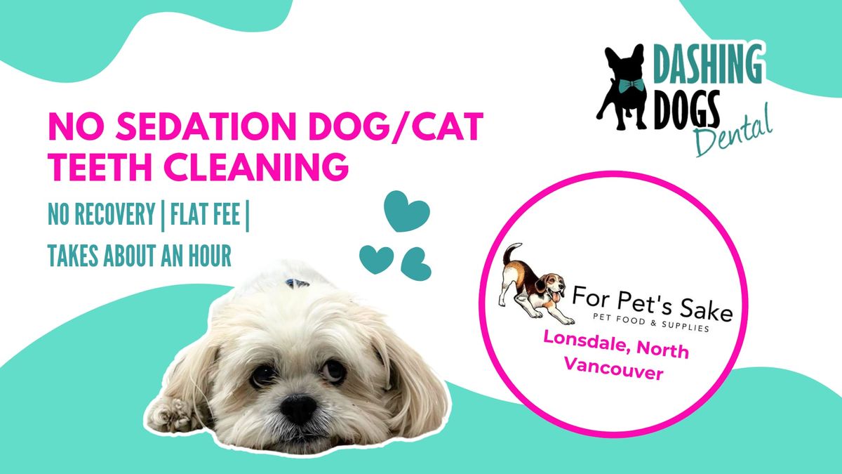 No Sedation Pet Teeth Cleaning Event -North Vancouver Lonsdale For Pet's Sake 