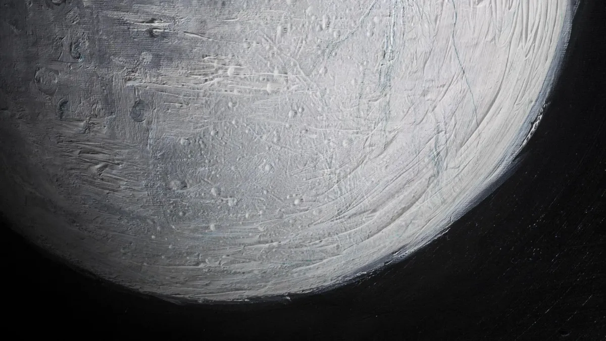 Canozan in \u0130stanbul