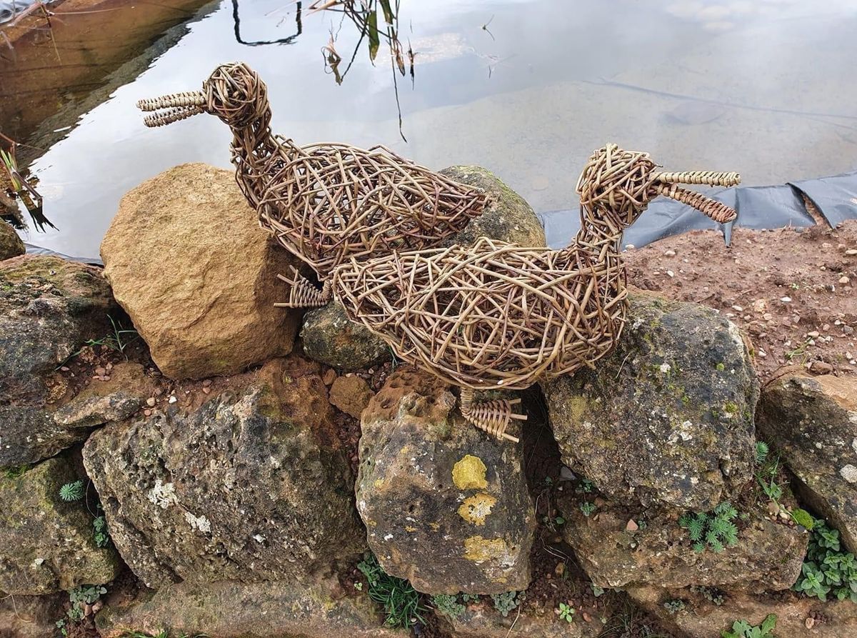 Willow Duck weaving Workshop 