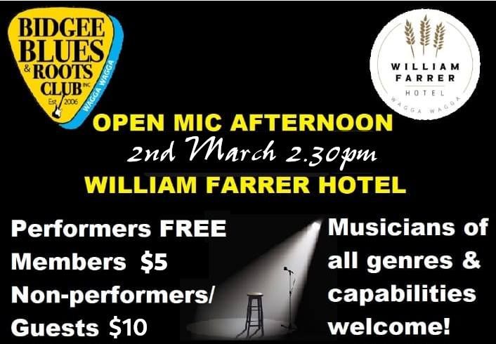 Bidgee Blues & Roots Club March Open Mic Afternoon 