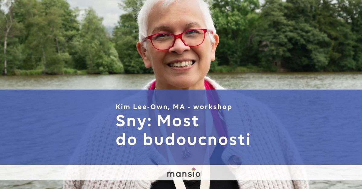 Kurz Mansio: KIM LEE-OWN: SNY: MOST DO BUDOUCNOSTI