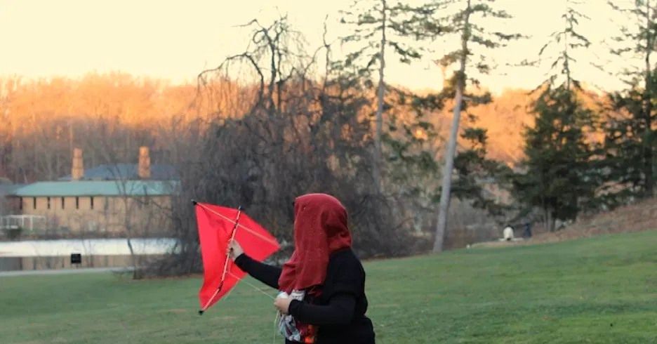 Design Your Own Kite