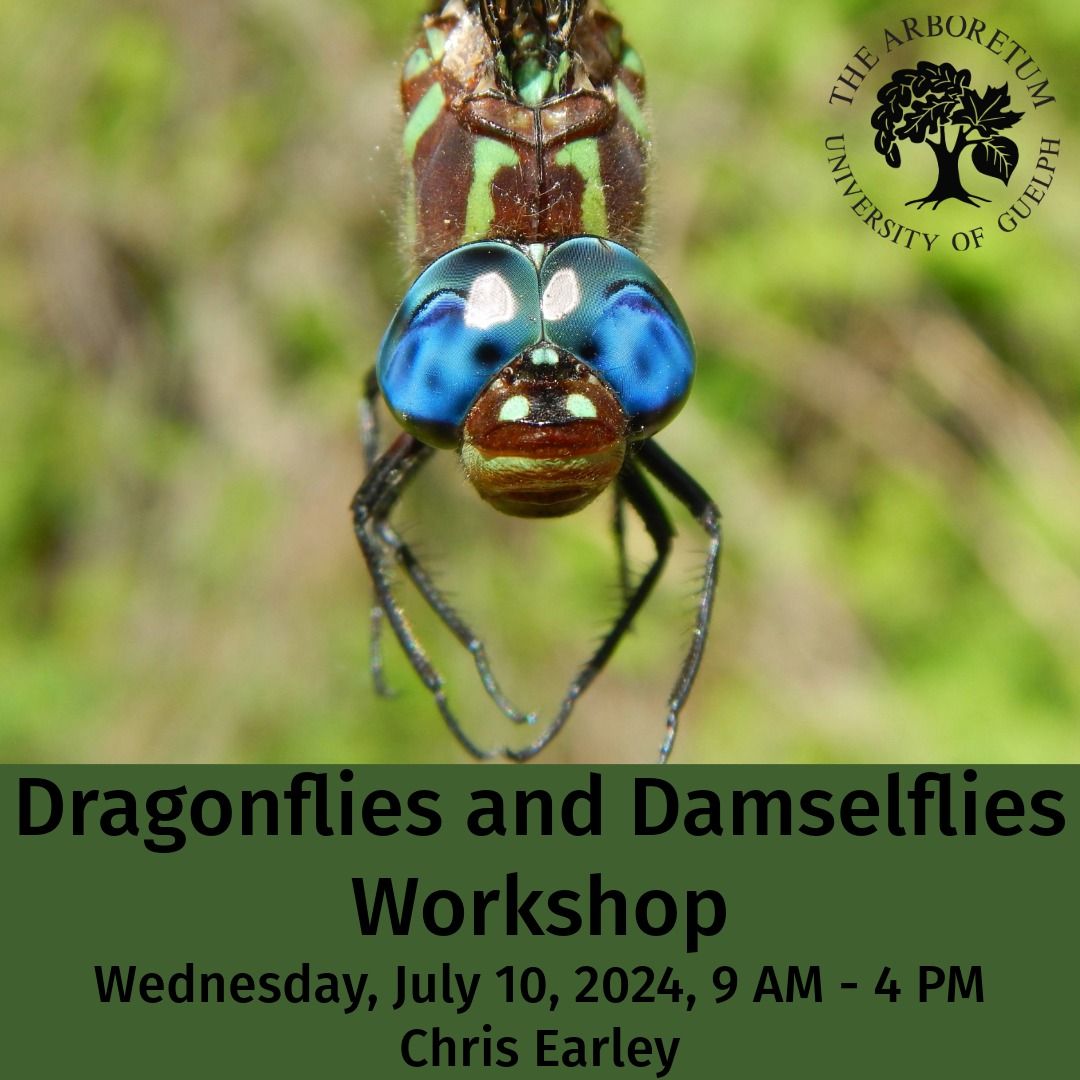 Dragonflies and Damselflies Workshop