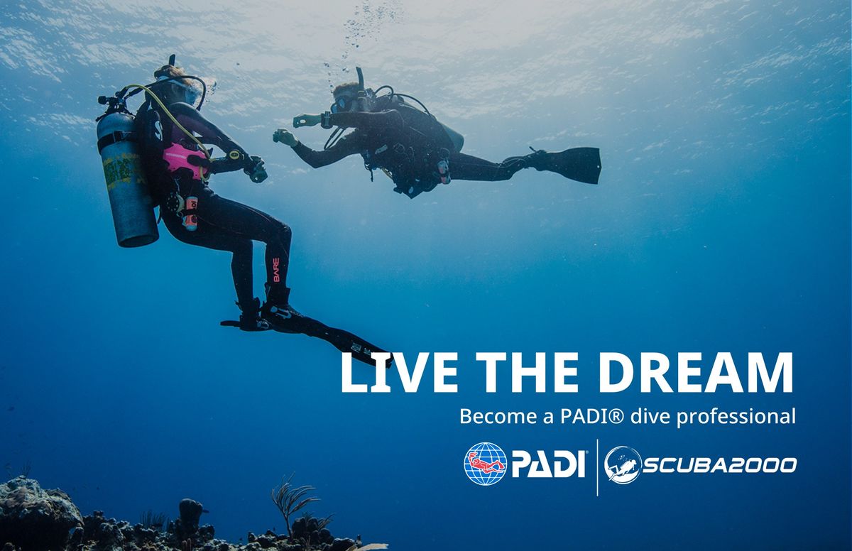 PADI PRO NIGHT 