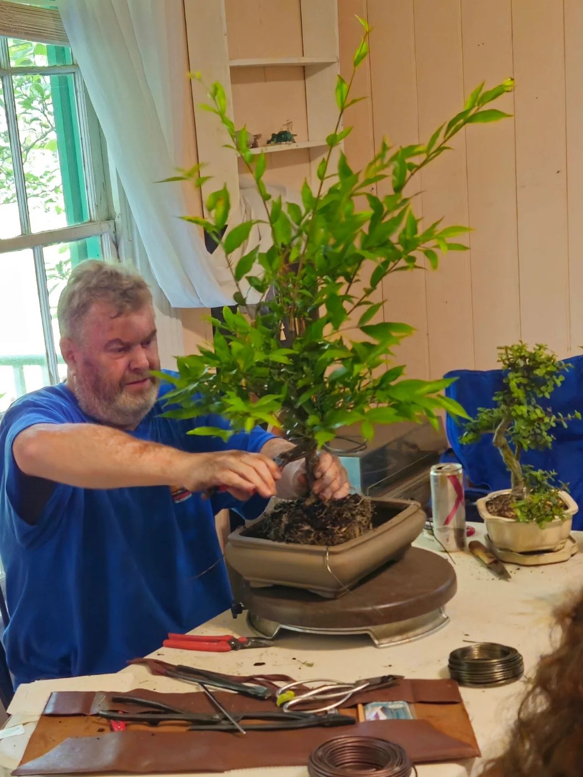 February Make and Take a Bonsai Class