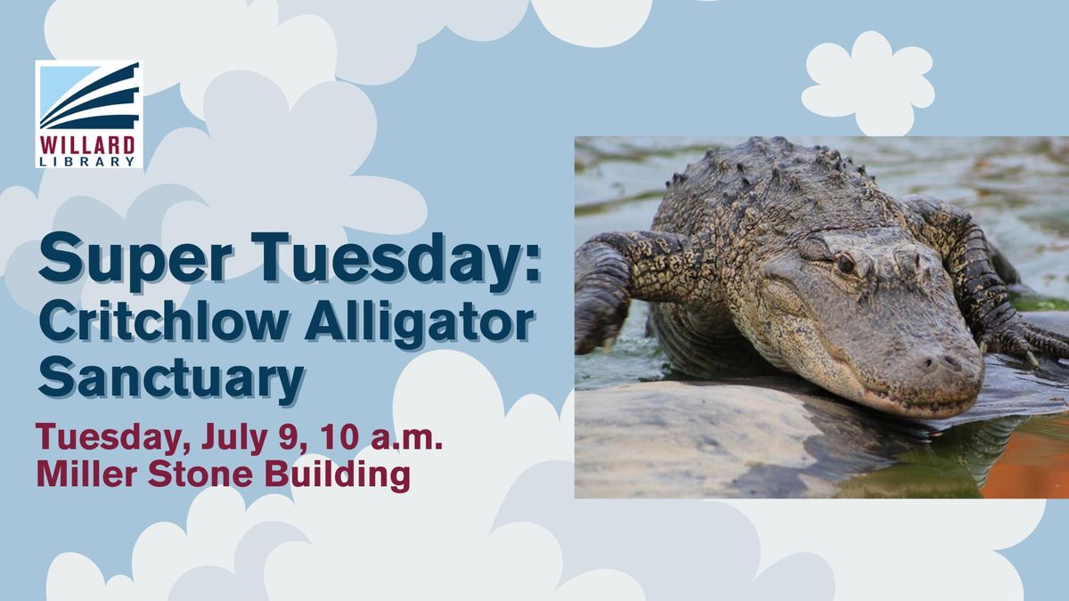 Super Tuesday: Critchlow Alligator Sanctuary