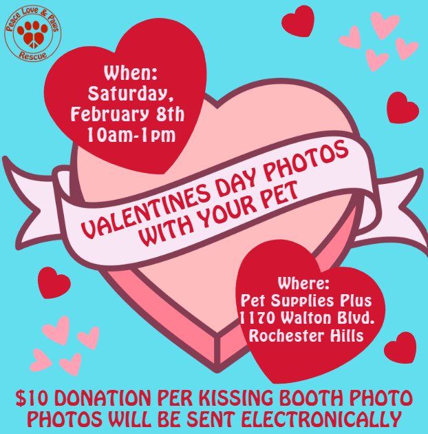 Valentine's Day Photos With Your Pet