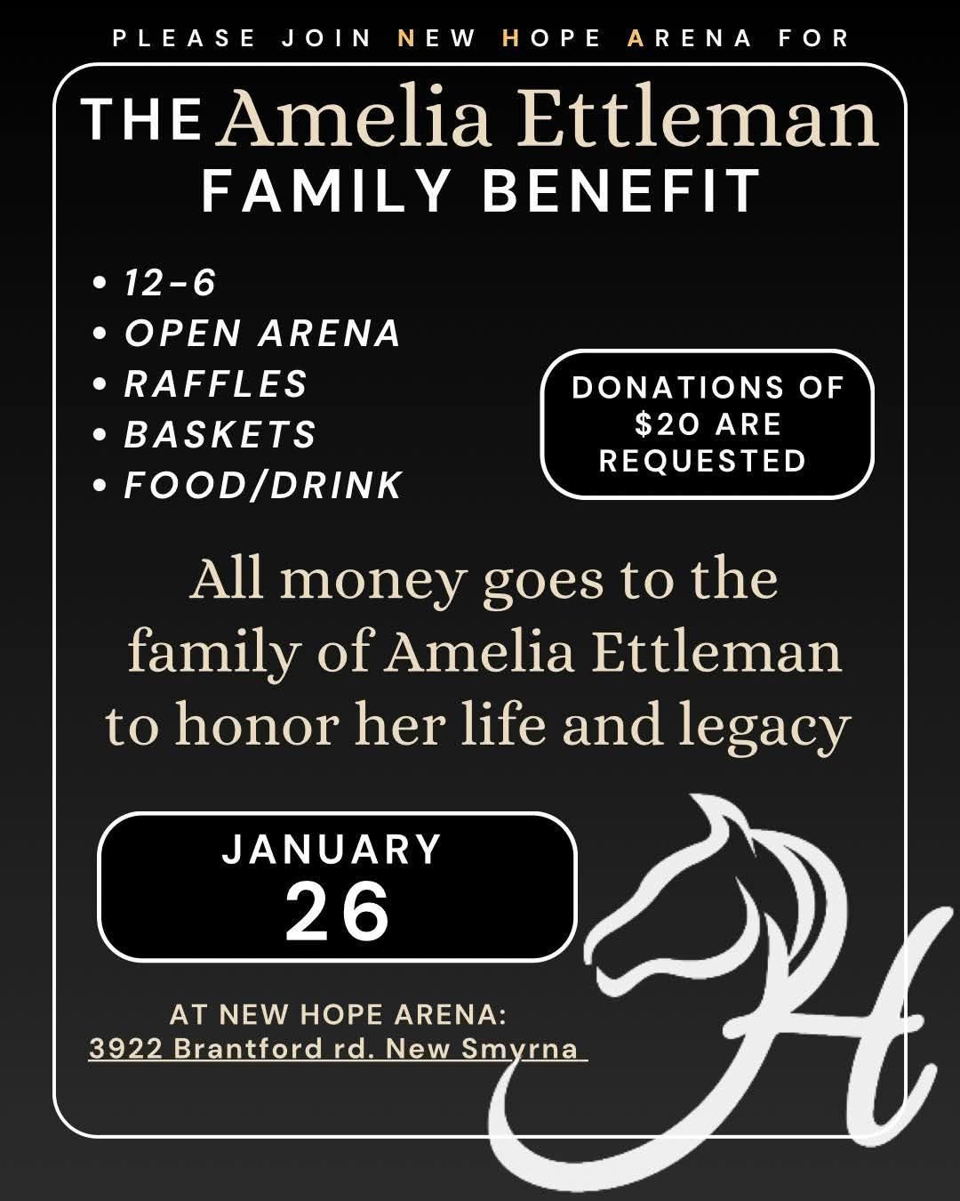 Open Arena Fundraiser for Remembrance of Amelia