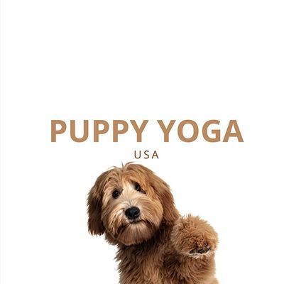 Puppy Yoga Chicago