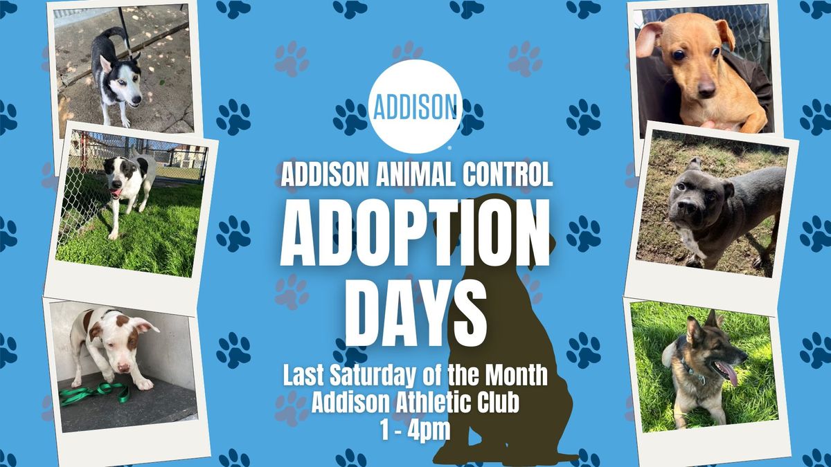 Addison Animal Control Adoption Days