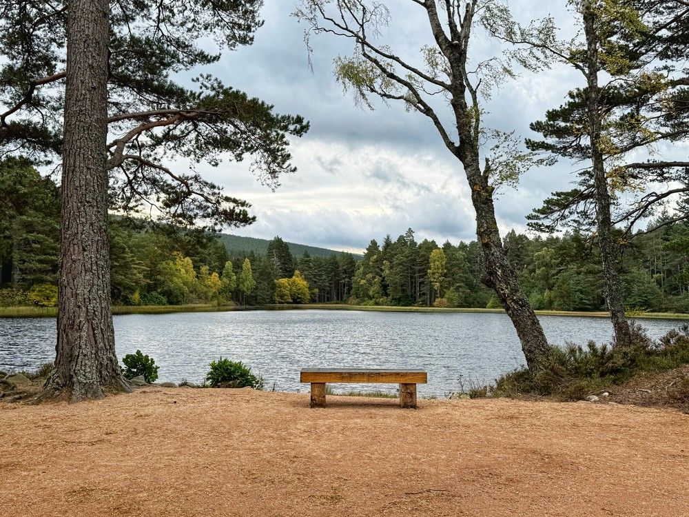 Glen Tanar Trail Running Festival 8km race 