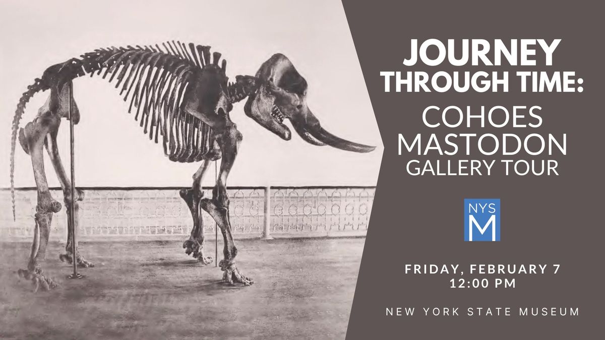 Journey Through Time: Cohoes Mastodon Gallery Tour