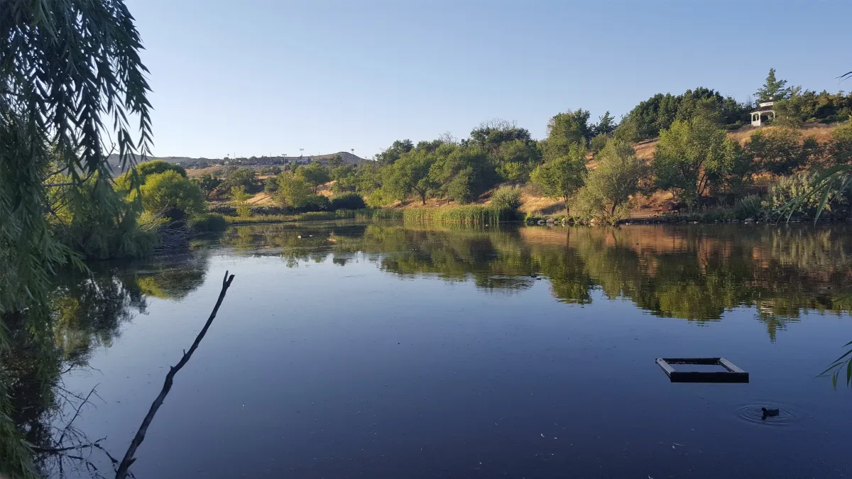 Walk Around Rancho San Rafael ( fall colors)